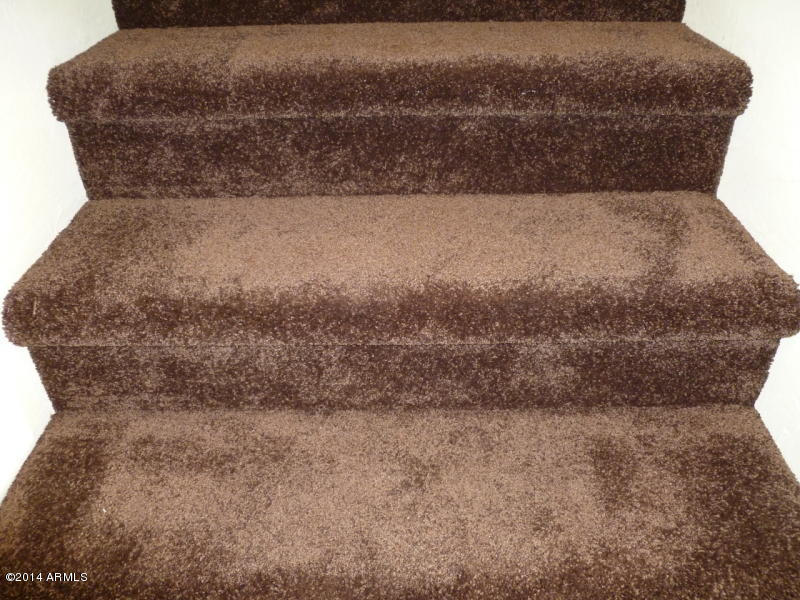 3935 East Rough Rider Road, Unit 1149 Phoenix, AZ 85050 - Photo 17 of 27 Rich warm carpet.