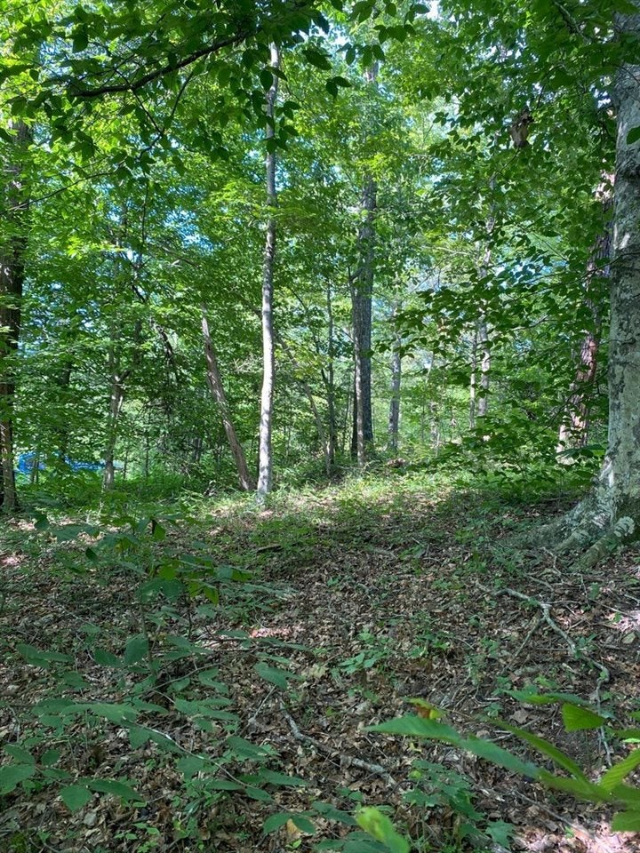 1908 West Froedge Dubree Road Summer Shade, KY 42166 - Photo 8 of 13 Gallery Image 8