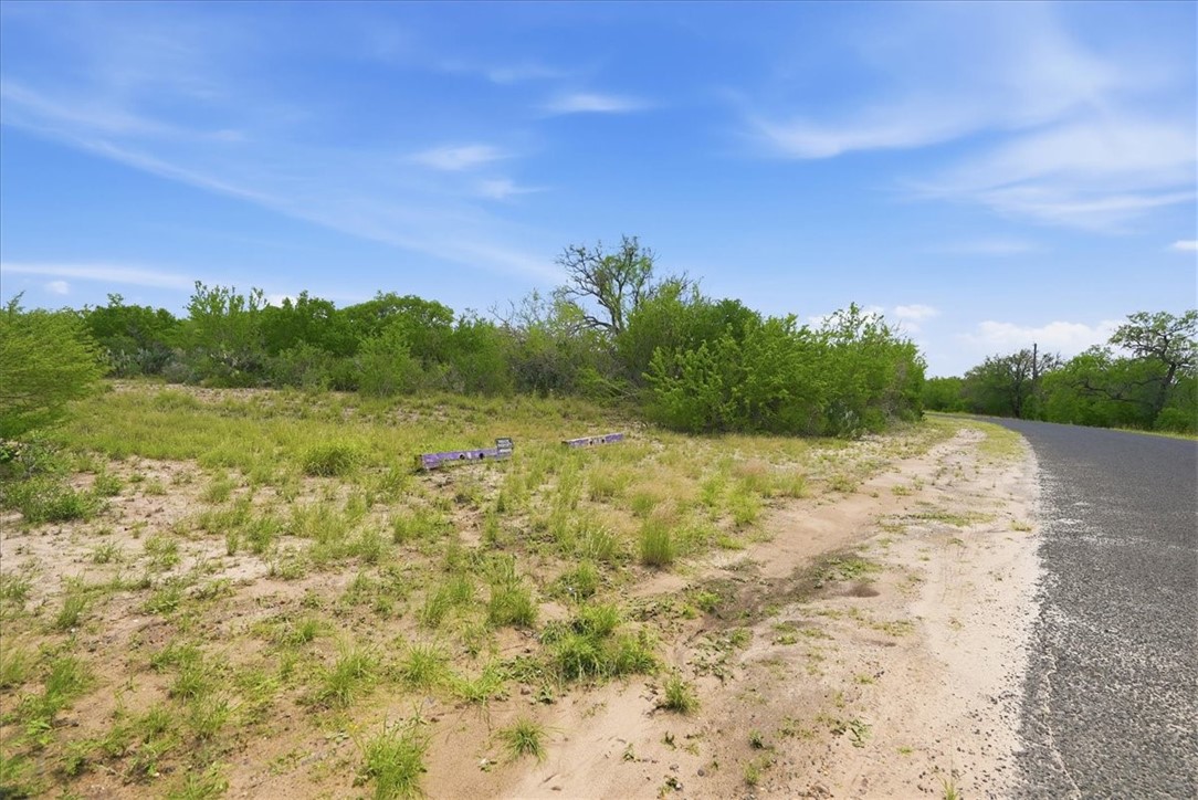 140 Choke Canyon Estates Drive Three Rivers, TX 78071 - Photo 9 of 17