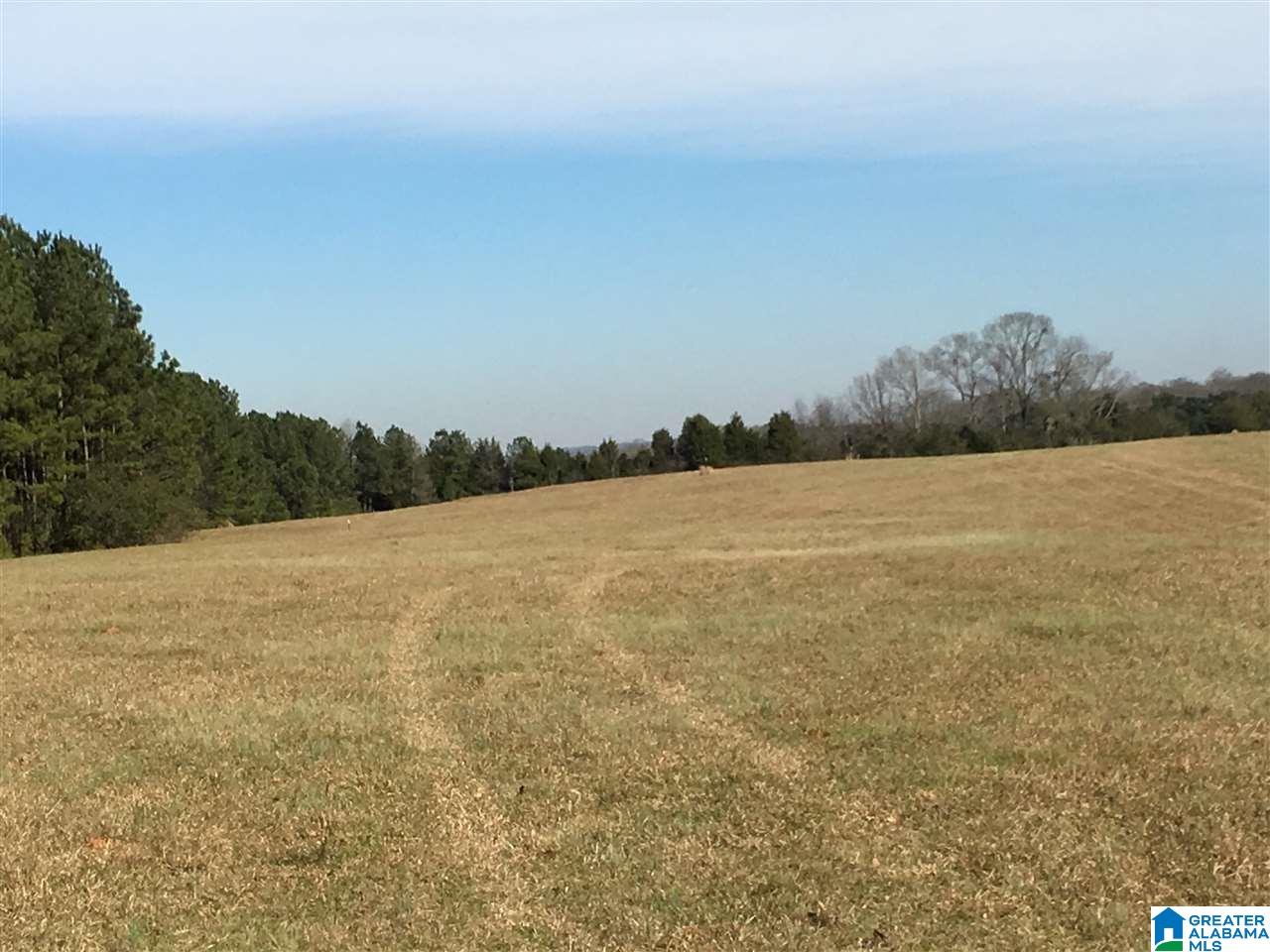 0 Eureka Road, Unit 6 Lincoln, AL 35096 - Photo 31 of 39 Gallery Image 31