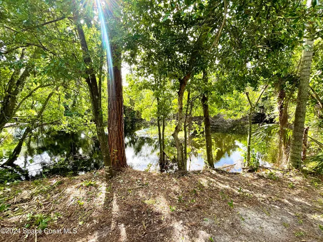 a view of outdoor space with trees