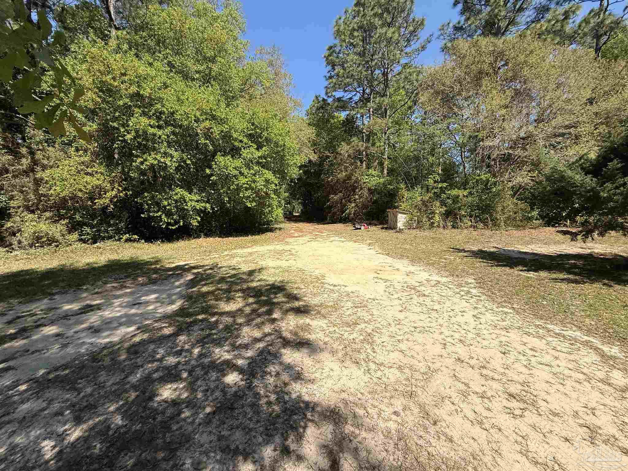 9543 Quiet Creek Road Milton, FL 32570 - Photo 4 of 45 a view of a yard with a tree