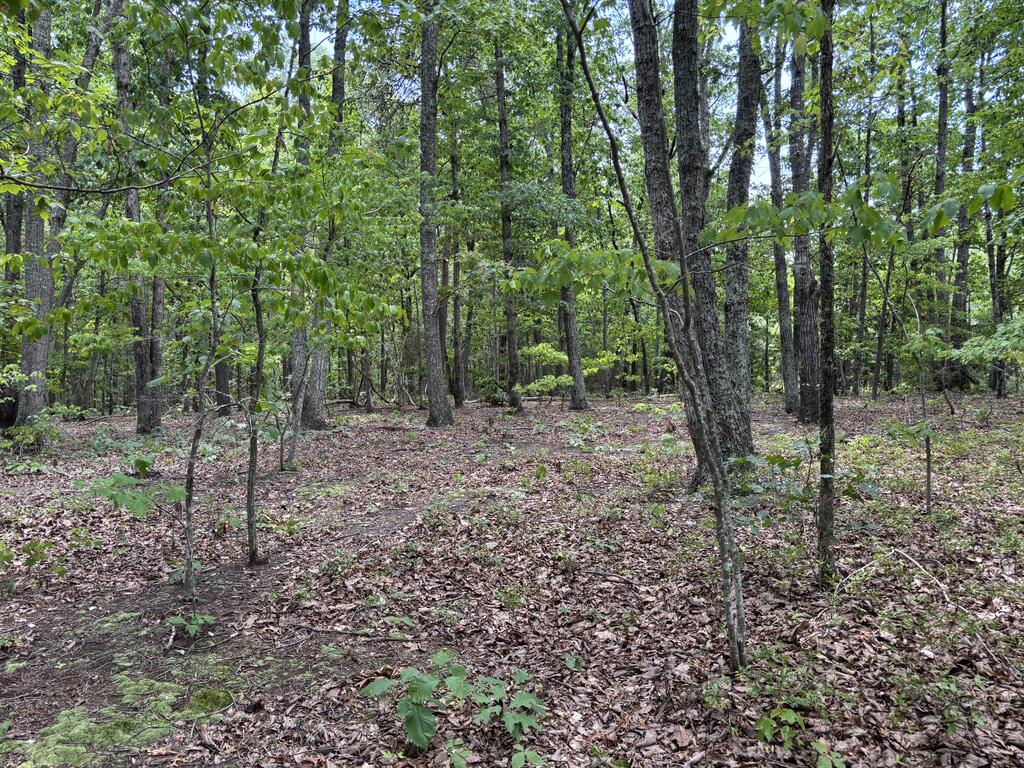 240 Tabor Road Gladys, VA 24554 - Photo 4 of 10 Gallery Image 4