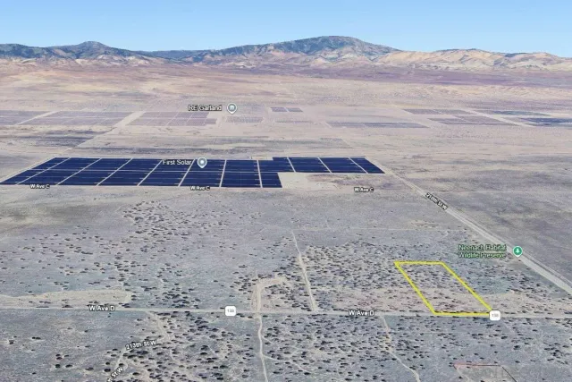 a view of a dry yard with wooden fence
