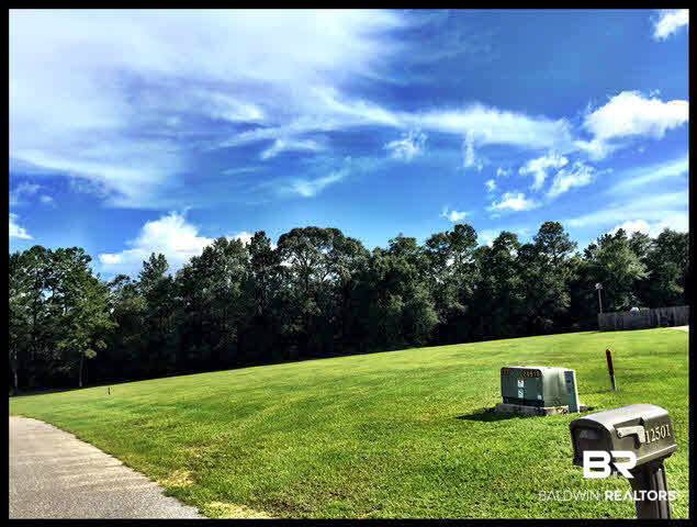0 Deer Ridge Drive Wilmer, AL 36587 - Photo 12 of 17