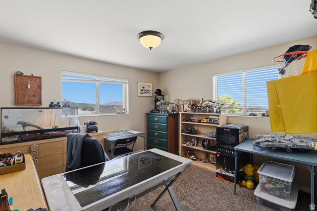 114 North Clark Lane Elk Ridge, UT 84651 - Photo 10 of 26 Room with two windows, ceiling-mounted light fixture, and carpet flooring
