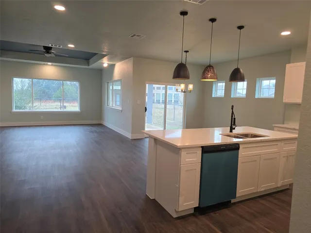 $458,978 | 206 Lewis Todd, Blanco, TX 78606