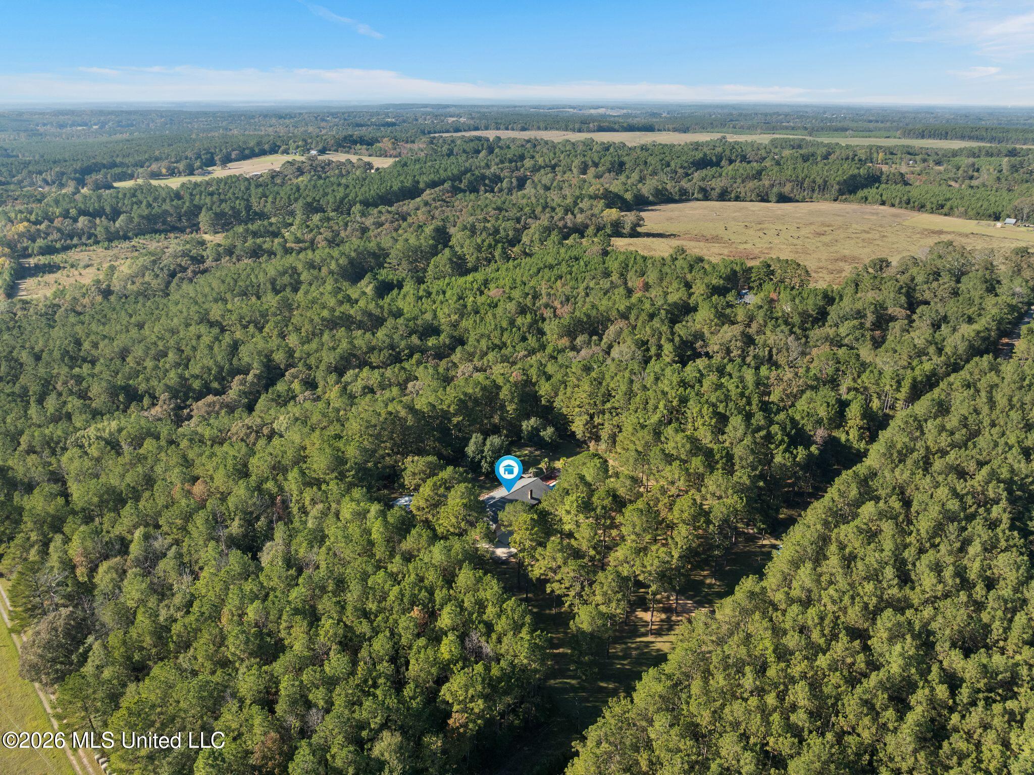 86 Haddox Road Columbia, MS 39429 - Photo 59 of 60 86_Haddox_Rd-59