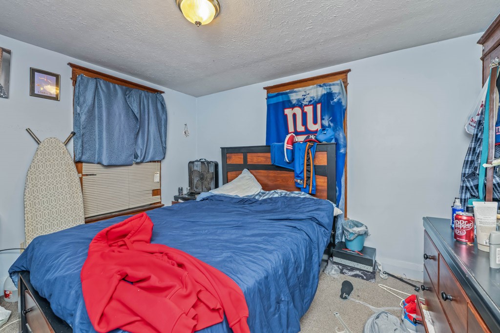 225 Bryan Street Rochester, NY 14613 - Photo 13 of 24