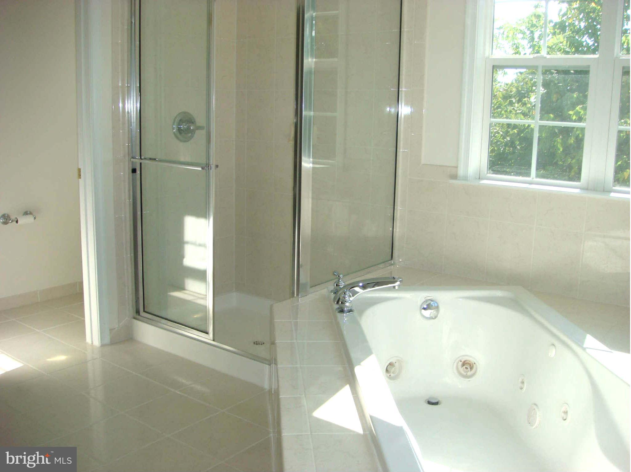 126 George Street Gaithersburg, MD 20877 - Photo 13 of 26 Jacuzzi Jets