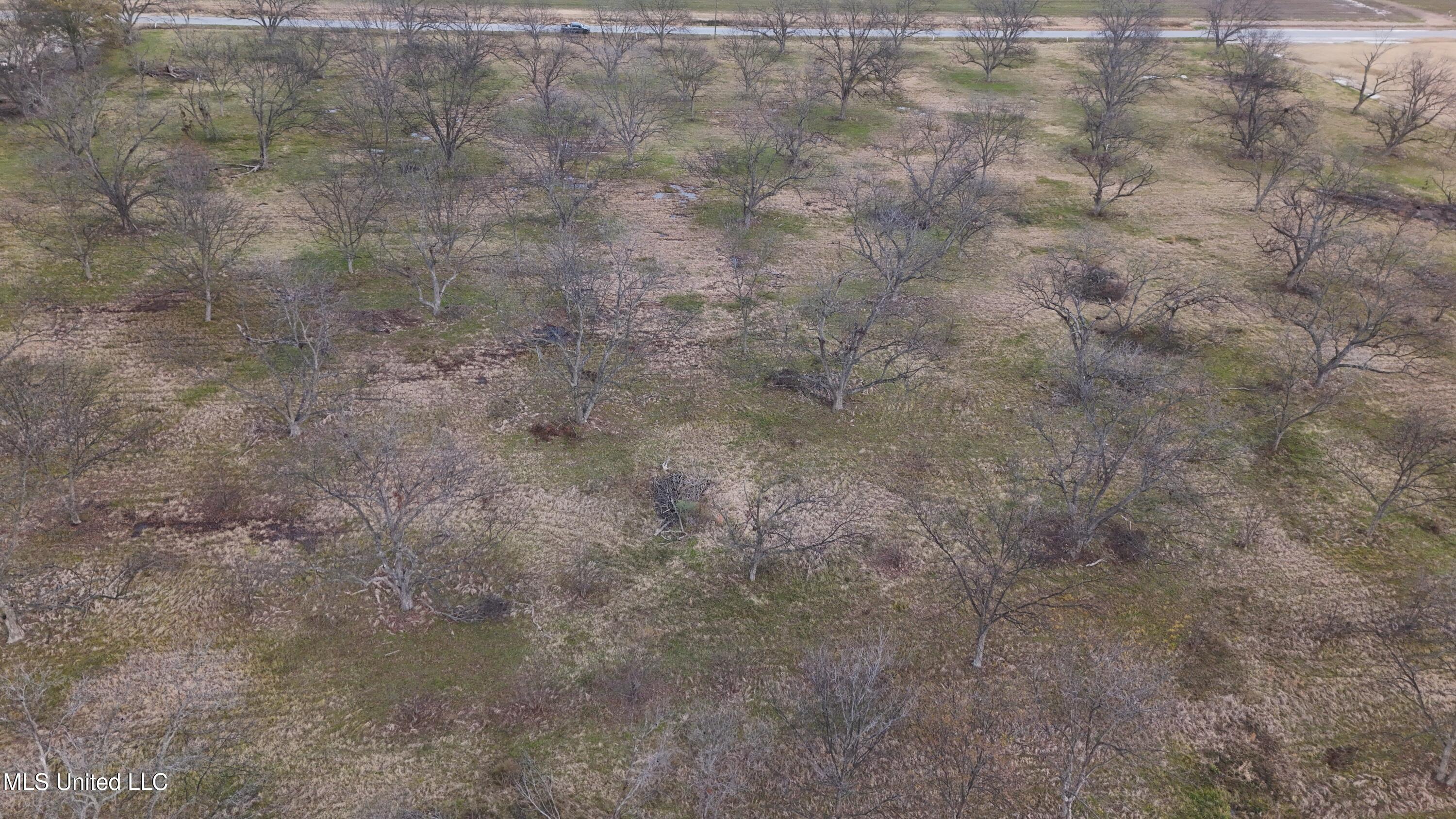 Interstate Road Shaw, MS 38773 - Photo 7 of 14 DJI_20251203153506_0126_D