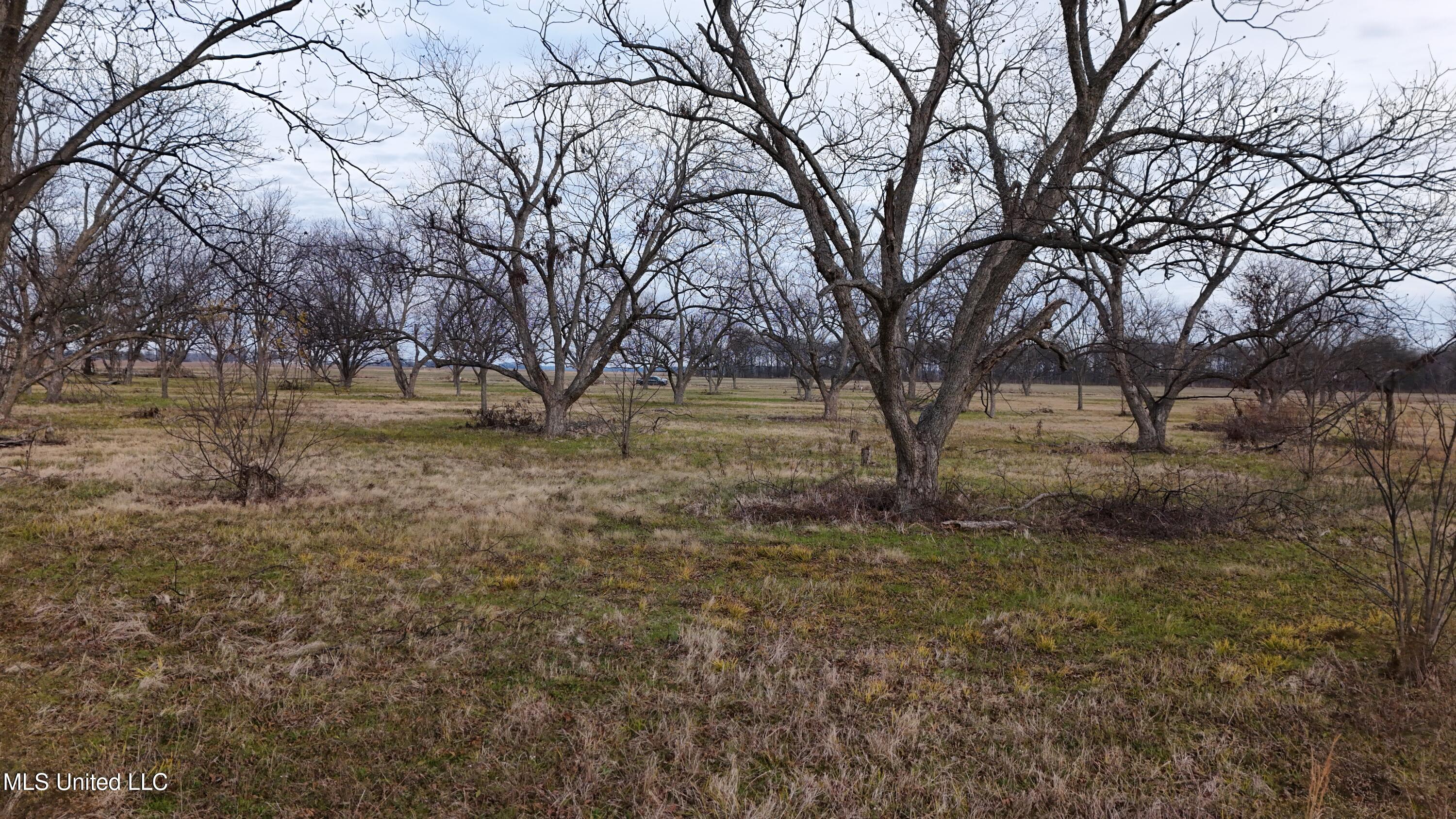 Interstate Road Shaw, MS 38773 - Photo 9 of 14 DJI_20251203153537_0128_D