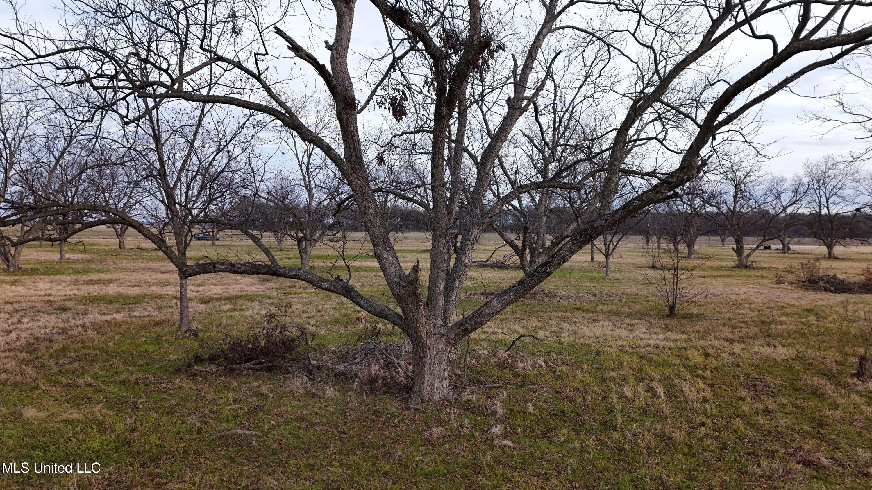 Interstate Road Shaw, MS 38773 - Photo 10 of 14 DJI_20251203153557_0129_D