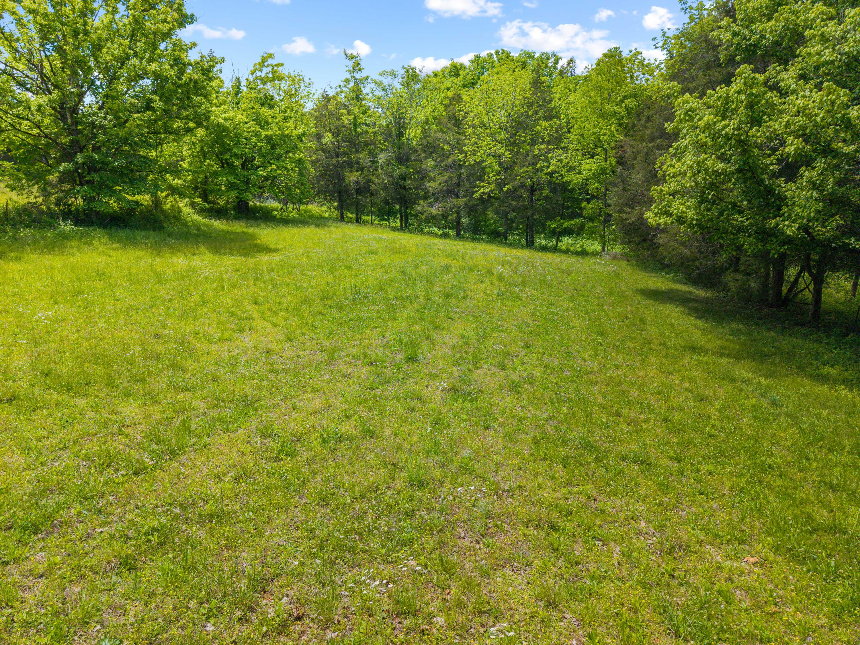 0 Sloans Valley Road Burnside, KY 42519 - Photo 30 of 38 Sloan Valley Land Photo-31
