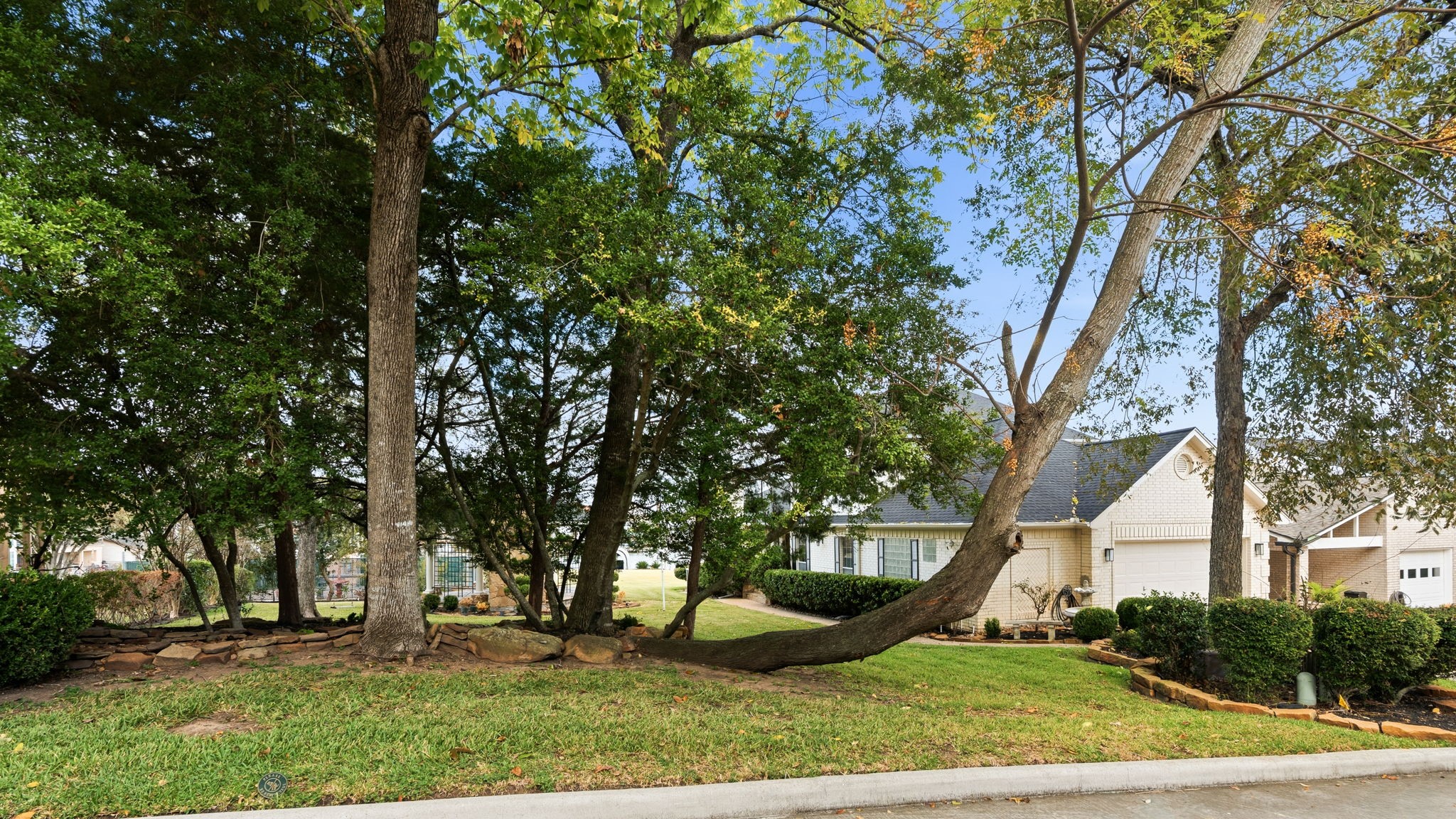 106 Cove Point Montgomery, TX 77356 - Photo 31 of 48 front view of a house with a yard and an trees