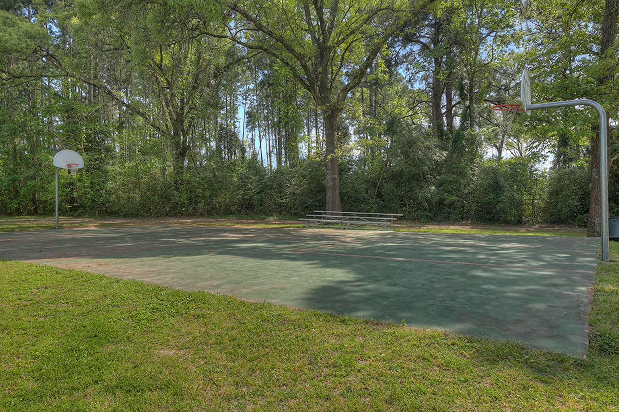106 Cove Point Montgomery, TX 77356 - Photo 45 of 48 a view of outdoor space with deck and yard