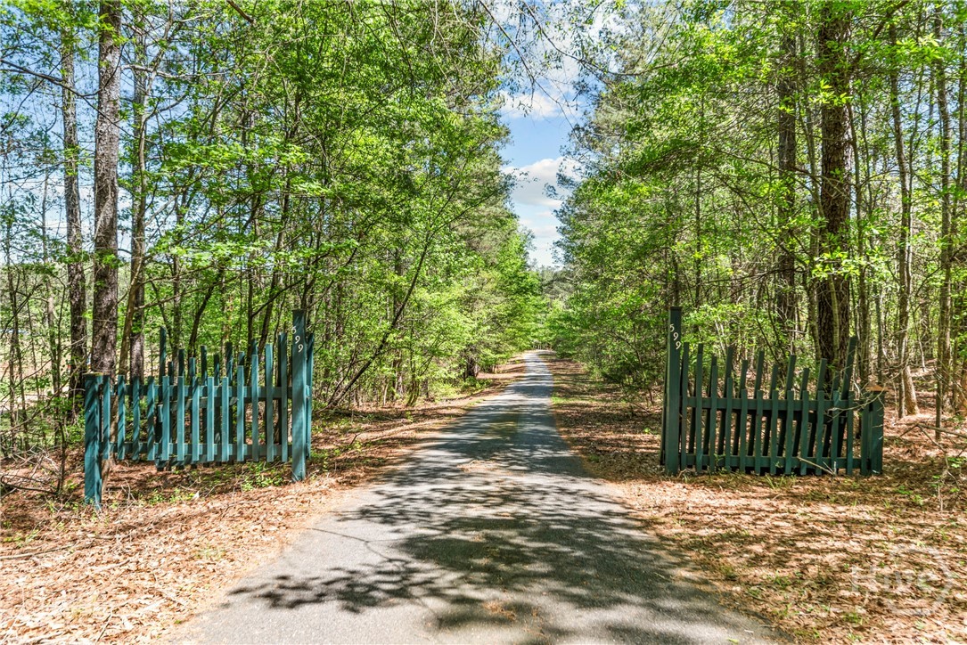 599 Double Branch Road Danielsville, GA 30633 - Photo 29 of 70