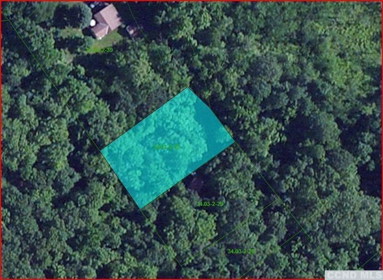 204 Enchanted Valley Road Durham, NY 12418 - Photo 3 of 10 Photo 3