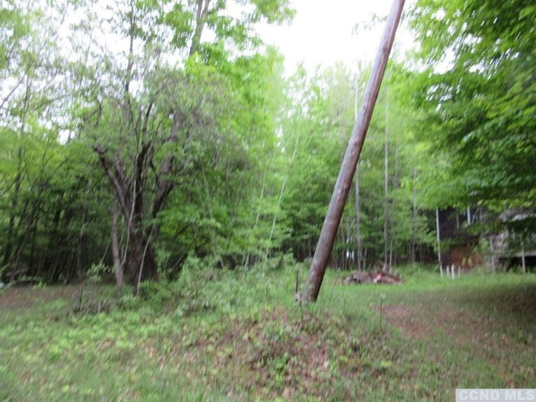 204 Enchanted Valley Road Durham, NY 12418 - Photo 4 of 10 Photo 4
