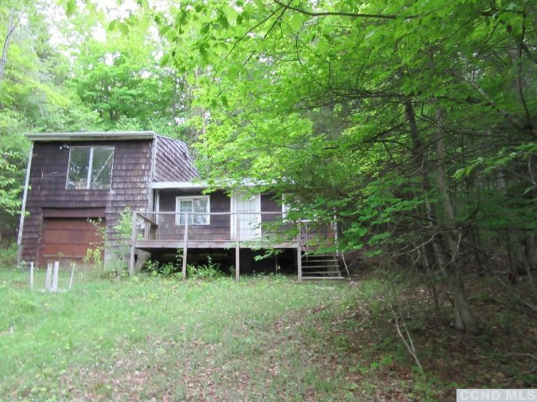 204 Enchanted Valley Road Durham, NY 12418 - Photo 6 of 10 Photo 6