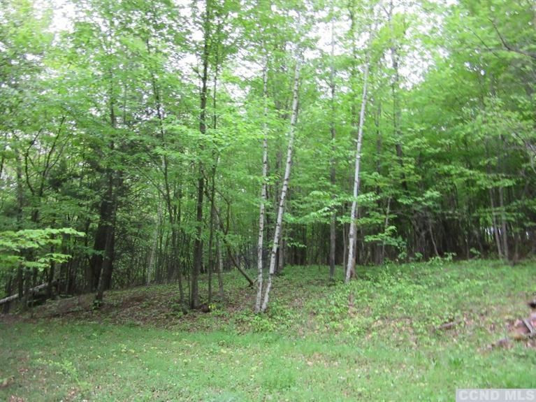 204 Enchanted Valley Road Durham, NY 12418 - Photo 7 of 10 Photo 7