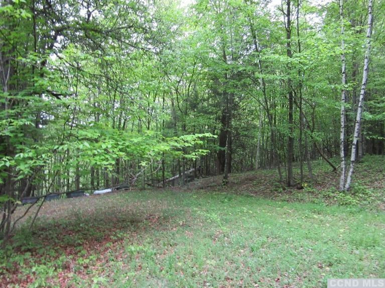 204 Enchanted Valley Road Durham, NY 12418 - Photo 8 of 10 Photo 8