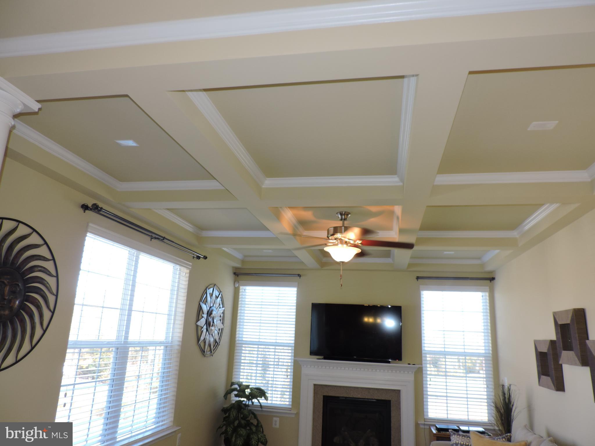 1991 Baythorne Road Prince Frederick, MD 20678 - Photo 14 of 55 Coffered ceiling adds that "designer feel"