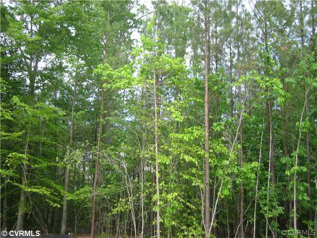 4937 Winding Branch Road Moseley, VA 23120 - Photo 1 of 6 Land/Lot