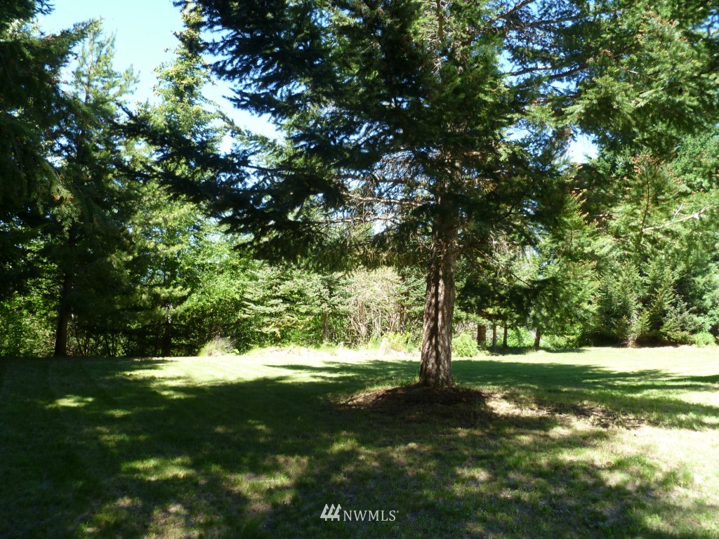 711 Tree Haven Road Cle Elum, WA 98922 - Photo 2 of 10 Gallery Image 2