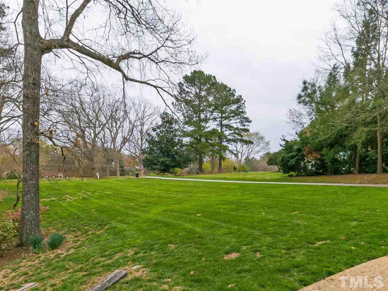 5400 Deep Valley Run Raleigh, NC 27606 - Photo 22 of 25 a big yard with trees in the background
