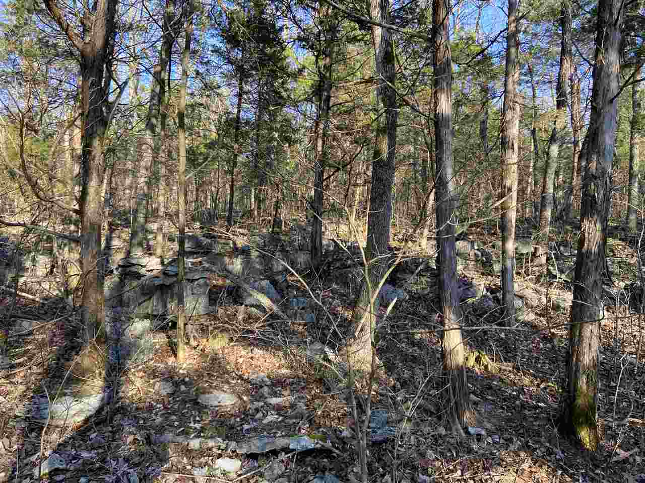 0 Girkin Boiling Springs Road Bowling Green, KY 42101 - Photo 6 of 10 Gallery Image 6