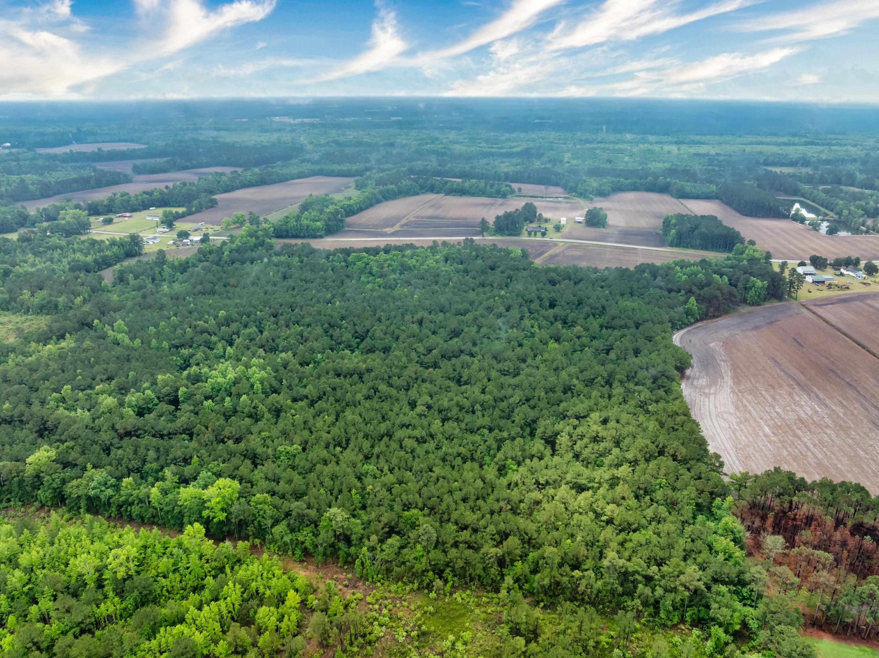 9475 Lake Swamp Road Nichols, SC 29581 - Photo 26 of 36
