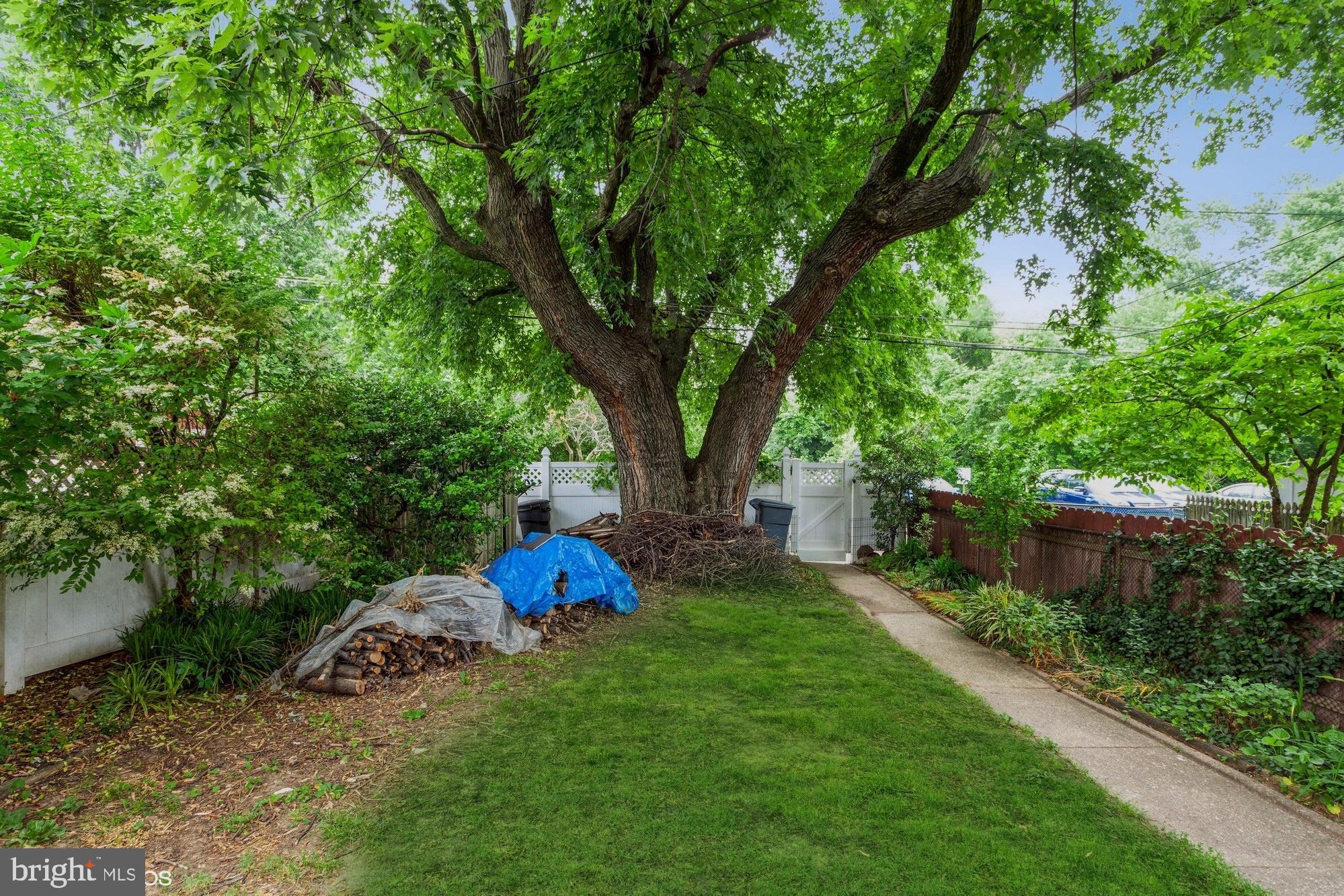 2314 Searles Road Dundalk, MD 21222 - Photo 29 of 35 Spacious backyard