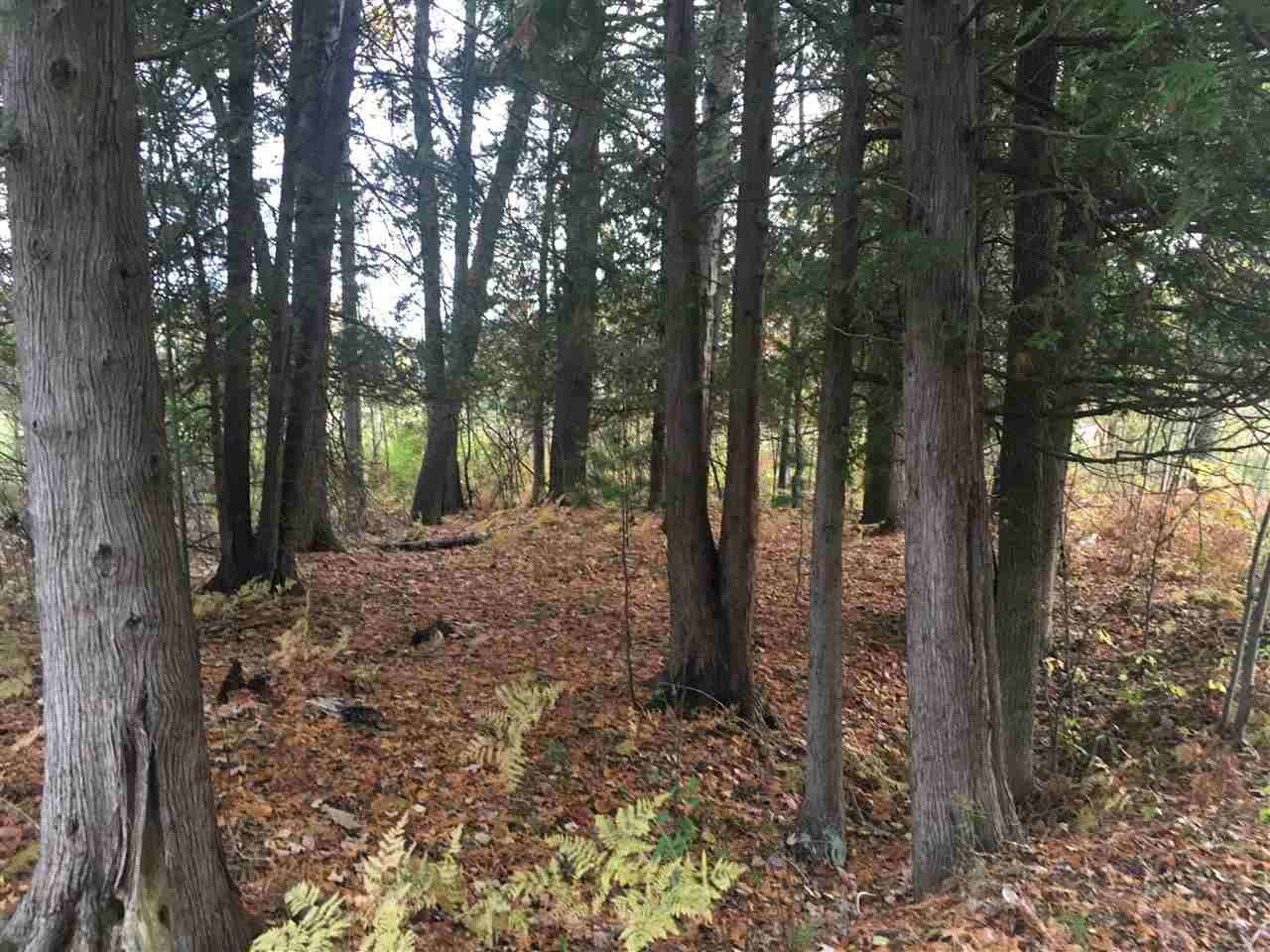 1860 Deep River Road Standish, MI 48658 - Photo 48 of 58 1868975-49.JPG