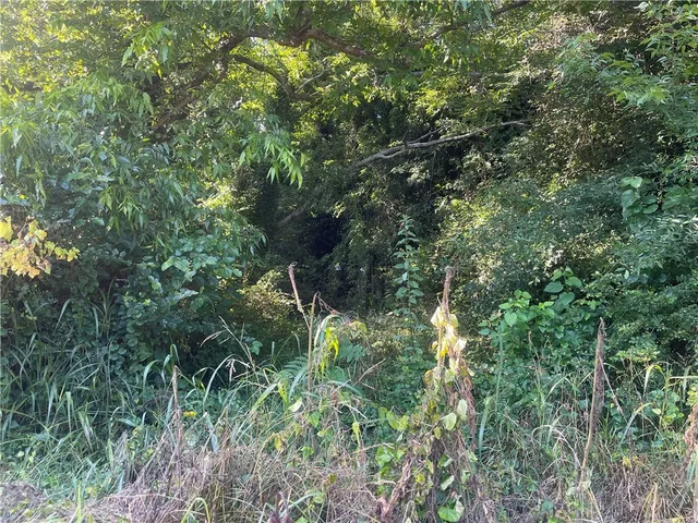 $14,500 | 513 Cleveland Avenue, Anderson, SC 29624