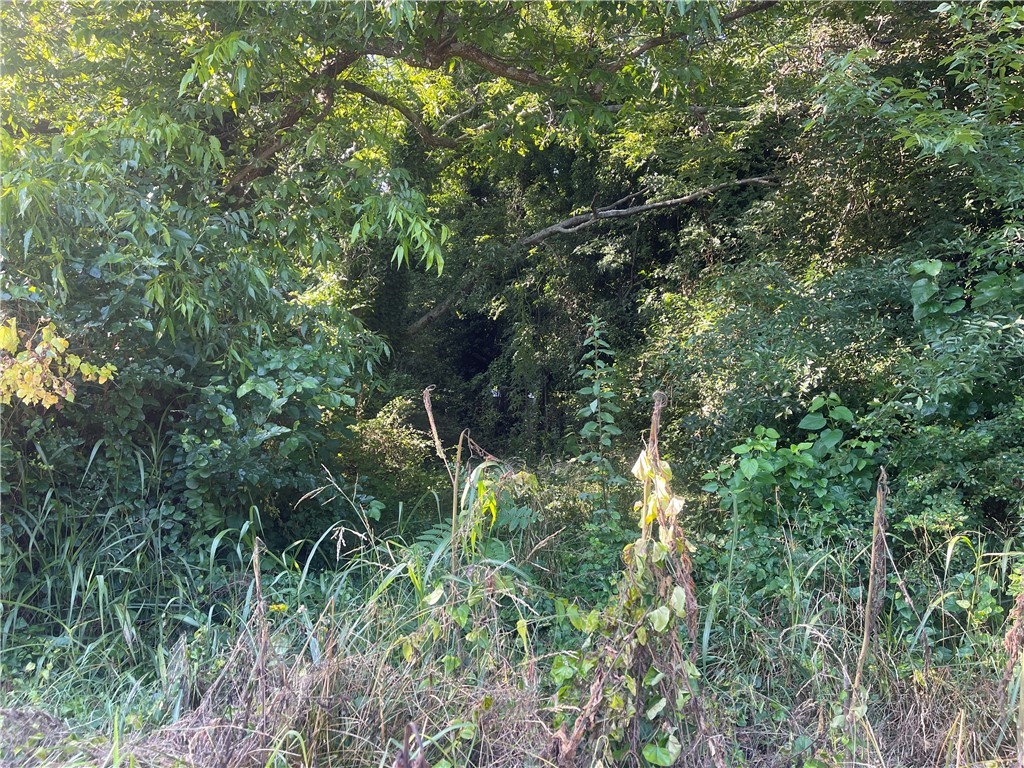 513 Cleveland Avenue Anderson, SC 29624 - Photo 2 of 2