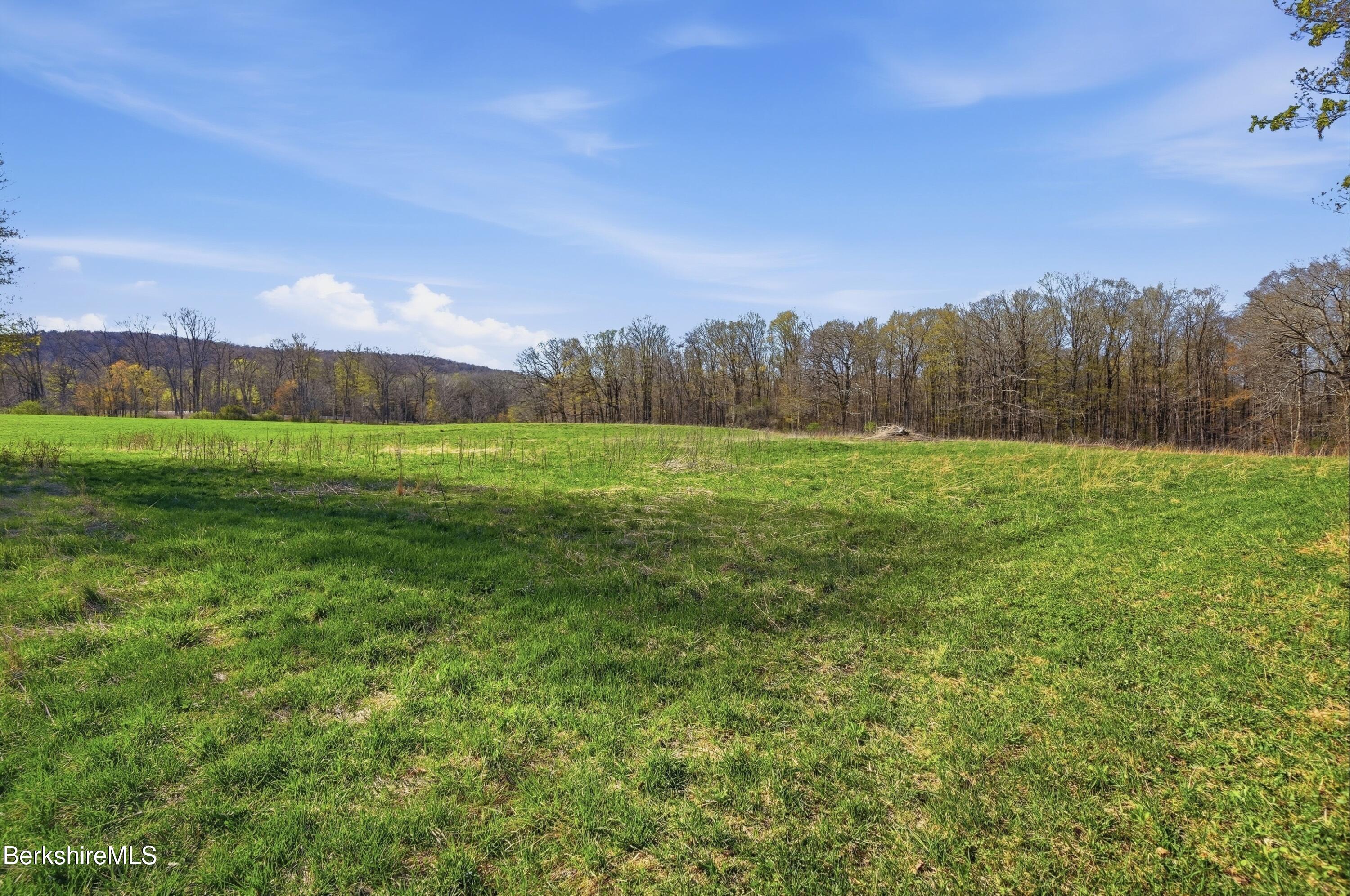 752 State Road Richmond, MA 01254 - Photo 59 of 71 18 Acre psture