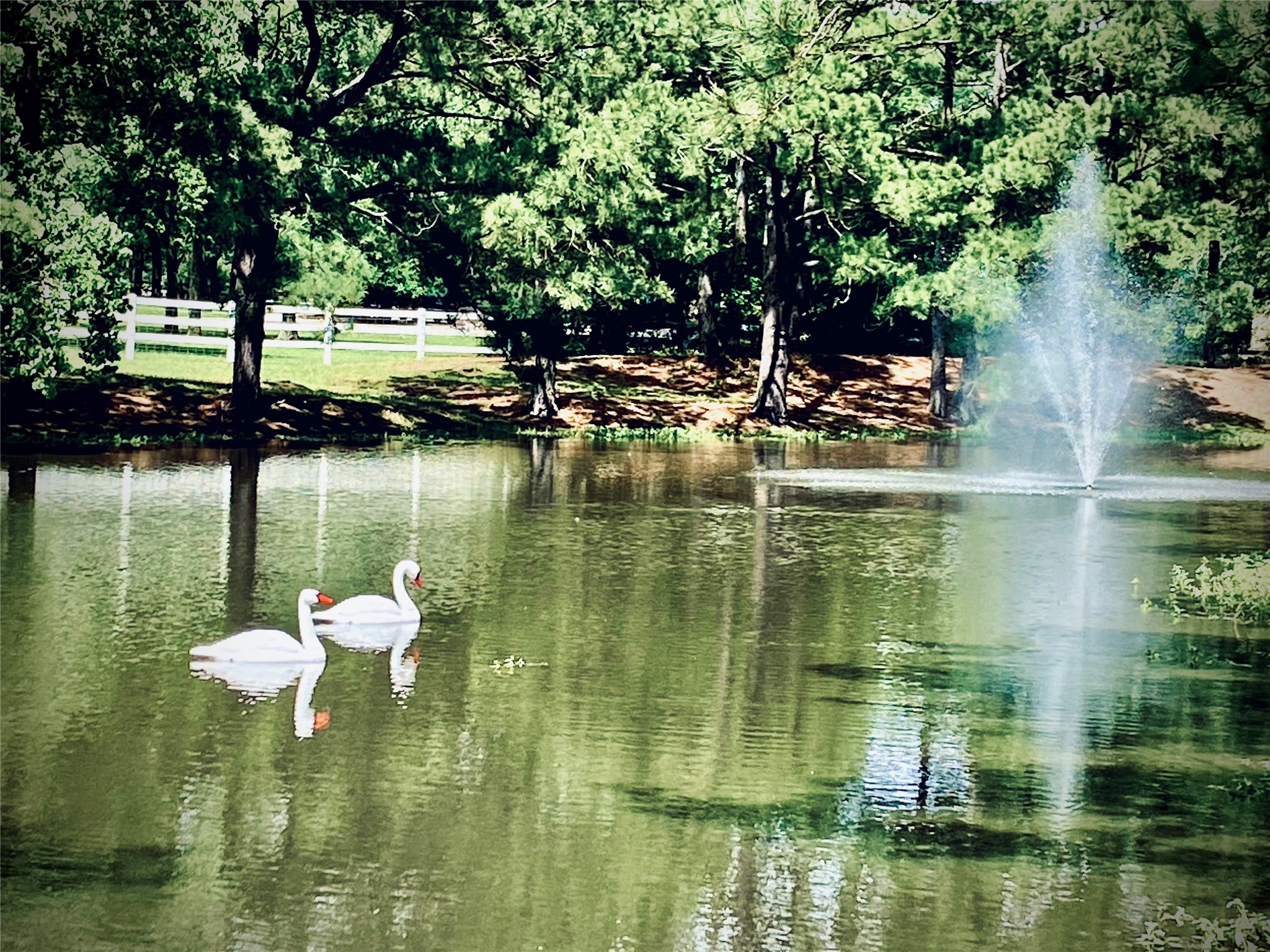 34310 High Point Drive Magnolia, TX 77355 - Photo 47 of 48 A serene pond with (fake) swans and a fountain, surrounded by lush greenery and a white fence, creates a tranquil, picturesque setting perfect for a peaceful home environment.