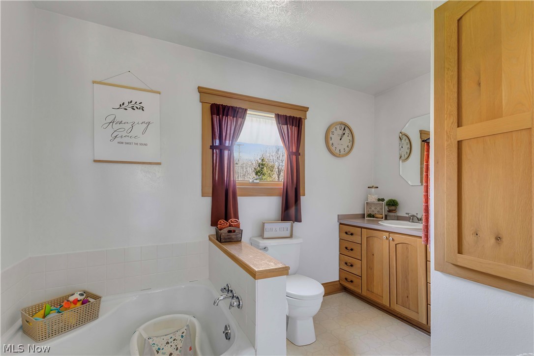 16236 Old State Road Middlefield, OH 44062 - Photo 9 of 33 Full bath with vanity, light floors, and a bath