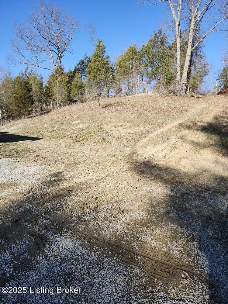 308 Briar Fork Road Sanders, KY 41083 - Photo 22 of 24 back yard to shed