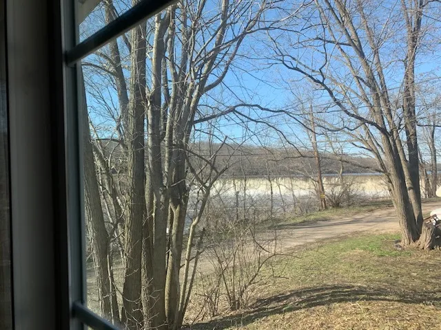 a view of backyard of a house