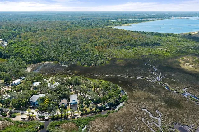 a view of a lush green forest with houses