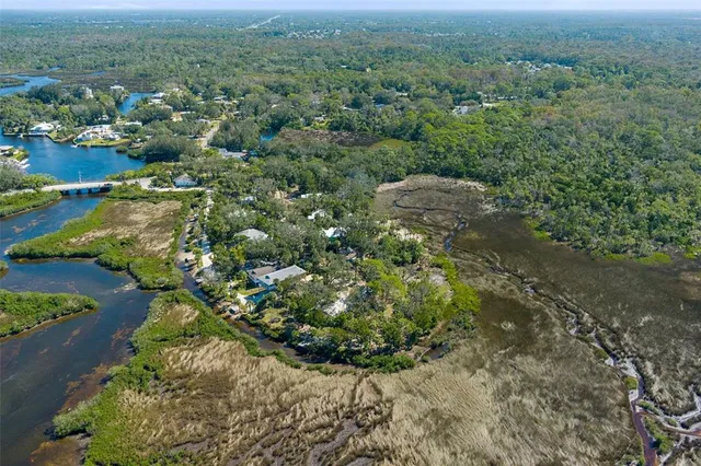 an aerial view of forest