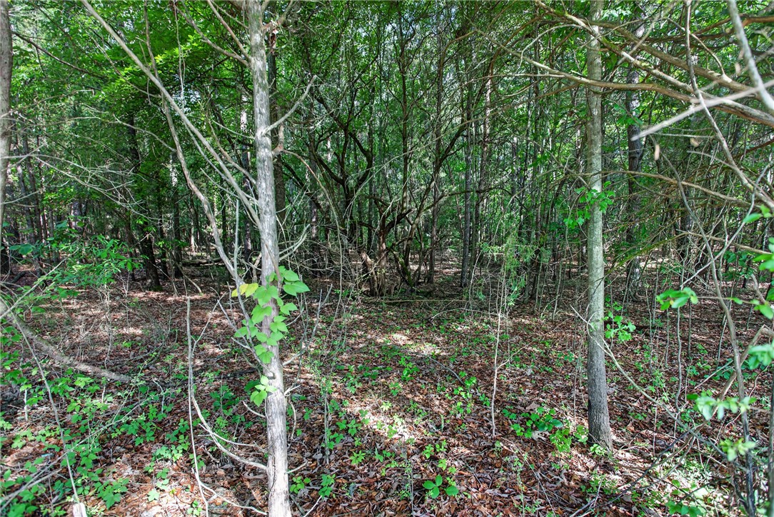 0 Barnes Road Seneca, SC 29672 - Photo 11 of 16 A secluded, wooded lot awaits, offering privacy and natural beauty for your future home.