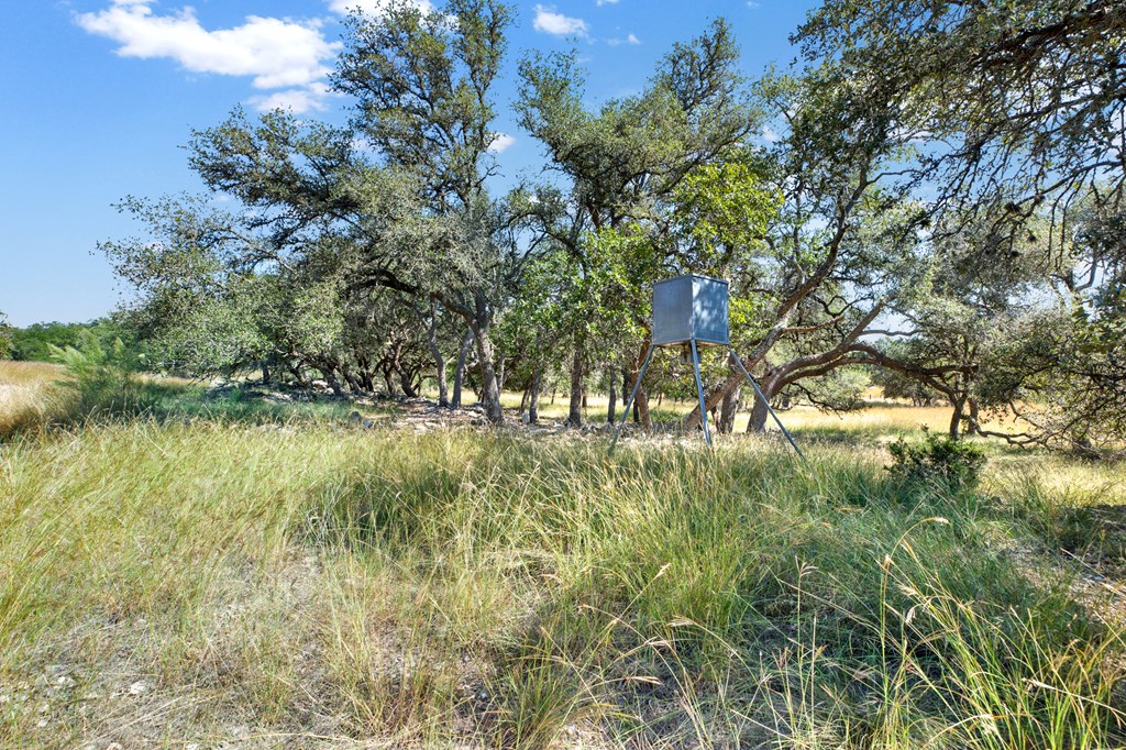 3408 Grape Creek Road Fredericksburg, TX 78624 - Photo 31 of 39