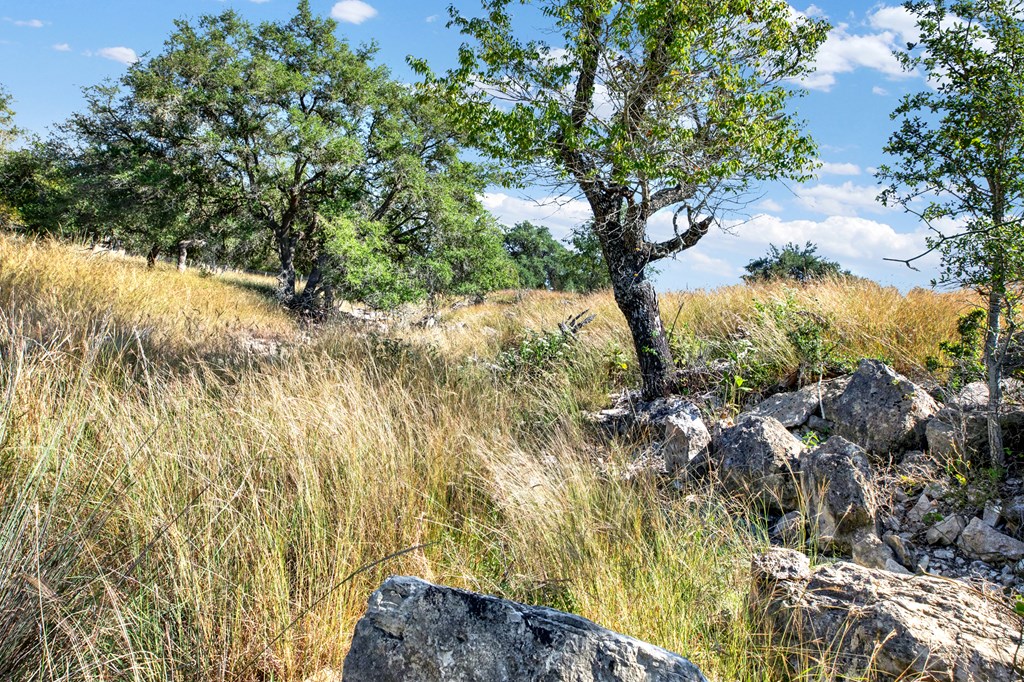 3408 Grape Creek Road Fredericksburg, TX 78624 - Photo 32 of 39