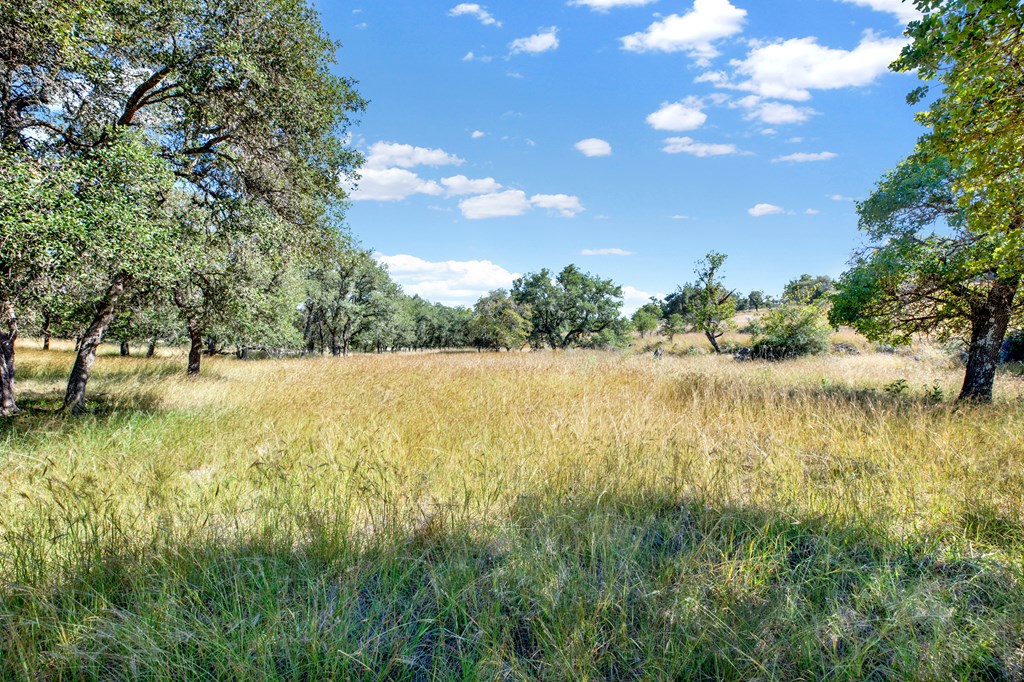 3408 Grape Creek Road Fredericksburg, TX 78624 - Photo 34 of 39