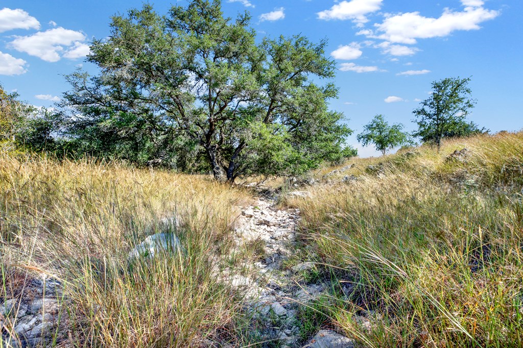 3408 Grape Creek Road Fredericksburg, TX 78624 - Photo 35 of 39