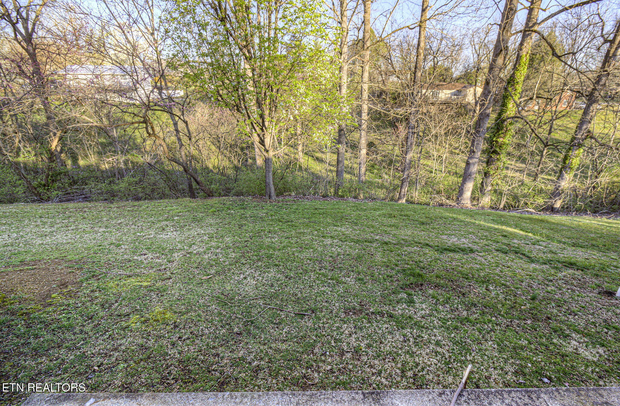 211 North Riverview Circle Sevierville, TN 37862 - Photo 29 of 33 IMG_6990