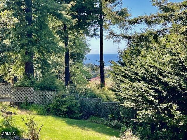 33370 Little Valley Road Fort Bragg, CA 95437 - Photo 21 of 70 a view of a yard with plants